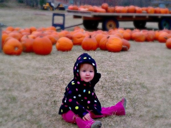Fresh Acres Fall Festival 1